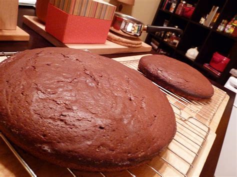 double-dark-chocolate-raspberry-cake-food-gypsy image