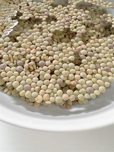 lentils-in-marcella-hazans-ingredienti-cookbook image