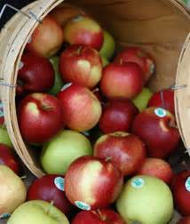 apples-foodland-ontario image