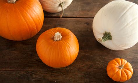 sweet-savory-pumpkin-recipes-for-fabulous-fall image