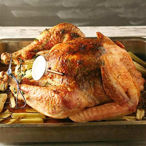flavor-injected-herb-roasted-turkey-yours-and-mine image