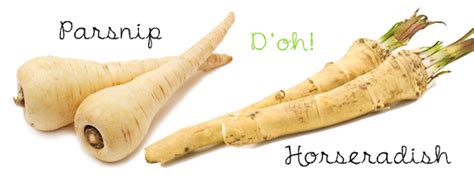parsnip-horseradish-this-one-blew-my-mind image