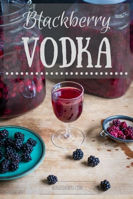 blackberry-vodka-recipe-flavoured-vodka-the image