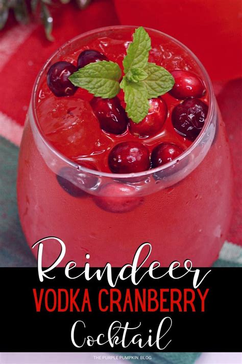 reindeer-cocktail-vodka-cranberry-spritzer image