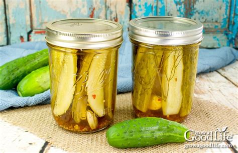 kosher-style-dill-pickles-canning-recipe-grow-a-good-life image