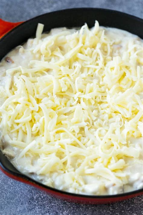 chicken-alfredo-dip-dinner-at-the-zoo image