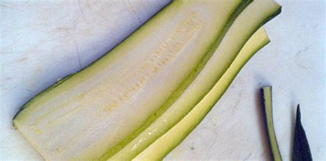 zucchini-parmesan-recipe-paleo-gardening image