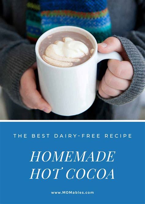 dairy-free-hot-cocoa-creamy-delicious-momables image