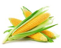 freezing-sweet-corn-whole-kernels-umn-extension image