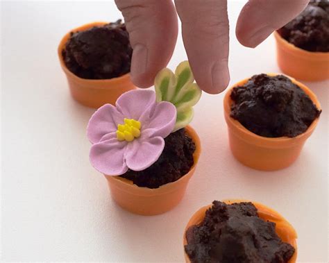 how-to-make-tiny-flower-pot-cakes-cake-journal image