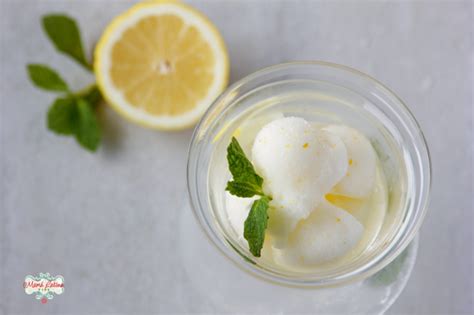 lemon-mint-sorbet-mama-latina-tips image