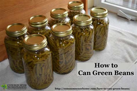 how-to-can-green-beans-common-sense-home image