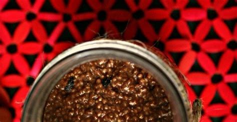 chocolate-chia-pudding-the-nutrition-guru-and-the image