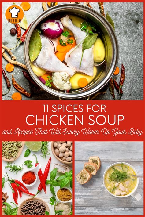 11-spices-for-chicken-soup-and-recipes-that-will-surely image