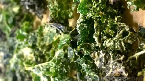 raw-vegan-cheesy-kale-chips-recipe-from-real-foods image