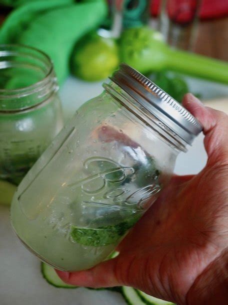 cucumber-cooler-cocktail-basil-or-mint-the-fresh-cooky image