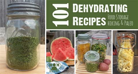 101-dehydrating-recipes-and-guide-mom-with-a-prep image