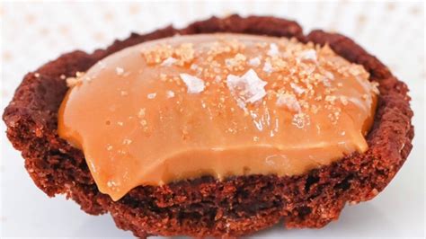 salted-caramel-choc-ripple-tarts-youtube image