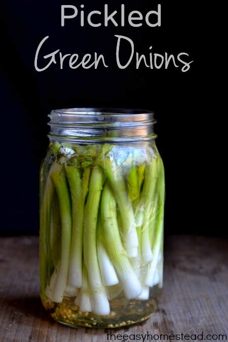 pickled-green-onions-recipe-the-easy-homestead image