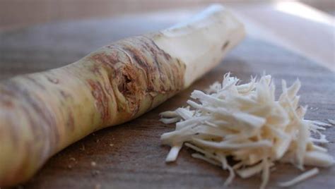 horseradish-recipes-bbc-food image