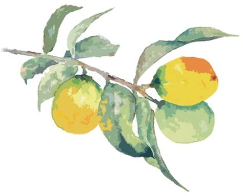 blueberry-lemon-marmalade-honest-cooking image