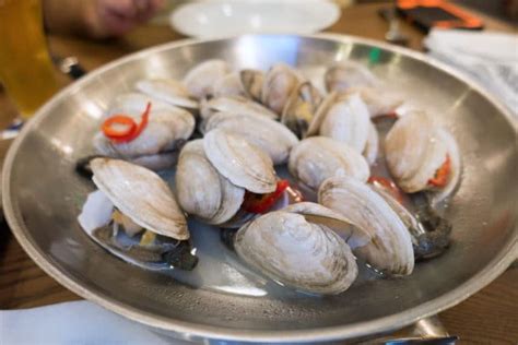 new-england-steamed-clams-recipe-paddlefish image