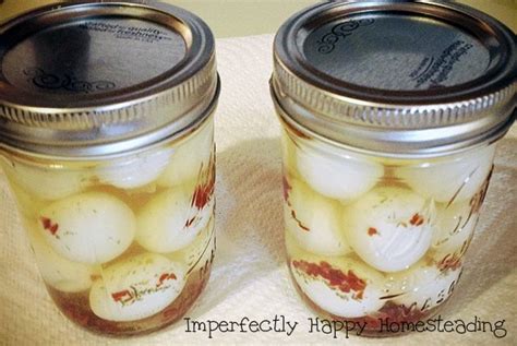pickled-quail-eggs-with-a-kick-quick-and-yummy-the image