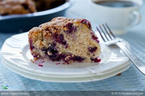 blueberry-tea-cake-recipe-recipelandcom image