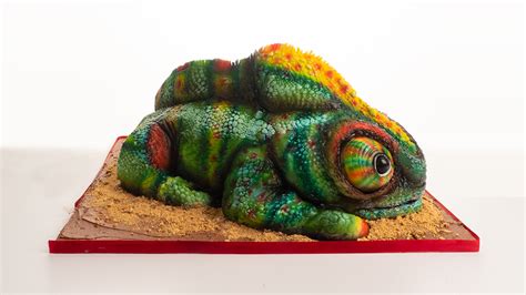 how-to-make-a-chameleon-cake-with-molly-robbins image