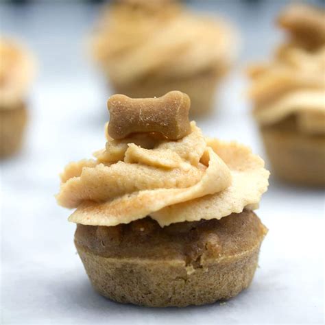 peanut-butter-pupcakes-cupcakes-for-dogs-we-are-not image