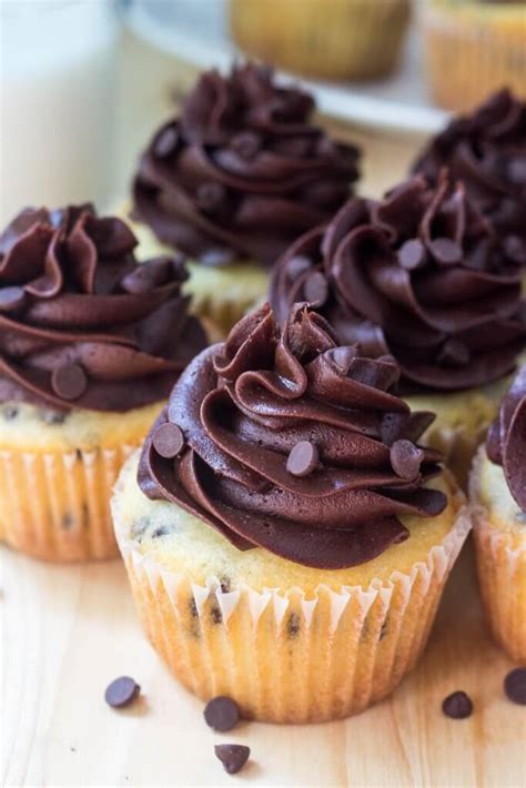 chocolate-chip-cupcakes-with-chocolate-frosting image