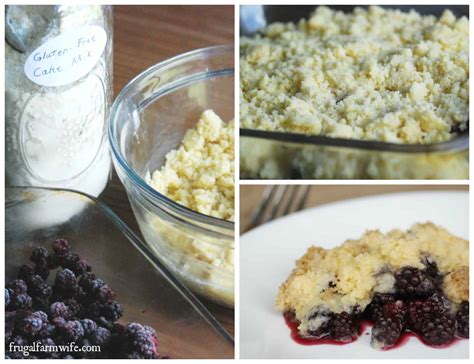 gluten-free-blackberry-crumble-the-frugal-farm-wife image