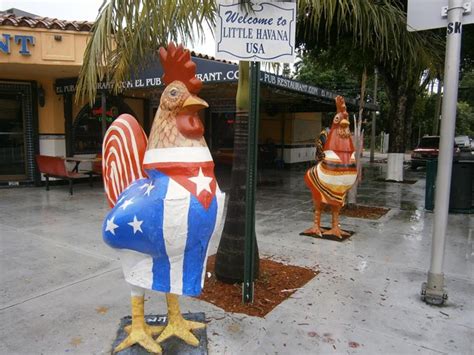 an-afternoon-with-the-roosters-on-calle-ocho-in-little image