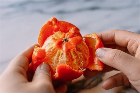 how-to-make-dried-tangerine-peel-the-woks-of-life image