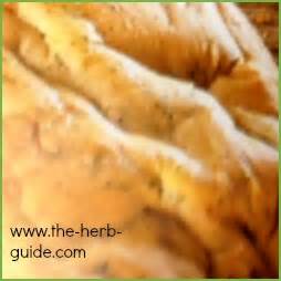 rosemary-bread-recipe-herb-guide image
