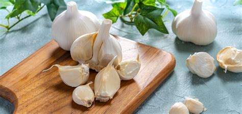 5-deliciously-potent-garlic-recipes-to-fight-colds-flu image