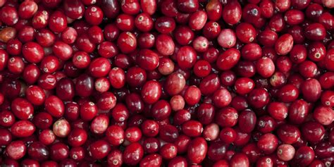 cranberry-benefits-and-nutrition-7-healthy-reasons-to image