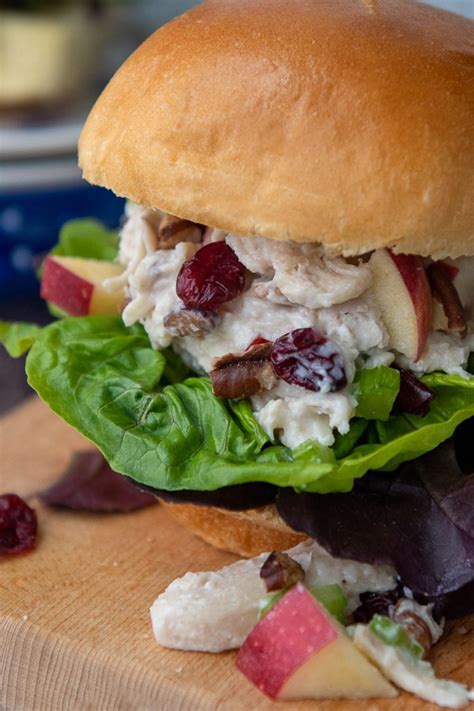 cranberry-chicken-salad-easy-recipe-with-apples image