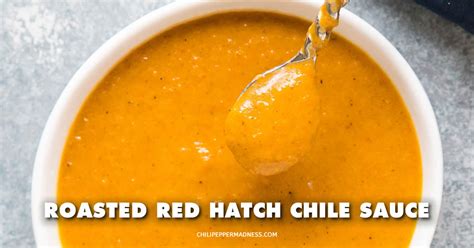 roasted-red-hatch-chile-sauce-chili-pepper-madness image
