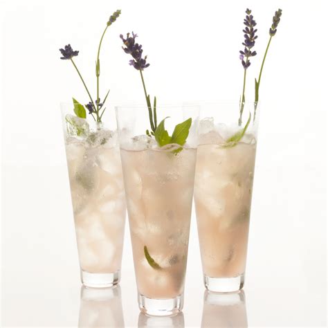 lady-lavenders-mocktail-recipe-gregory-best-food-wine image