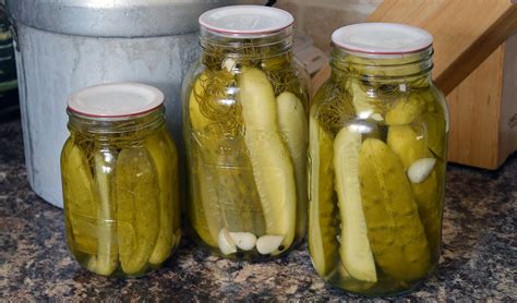 grandmas-dill-pickle-recipe-lovely-greens image