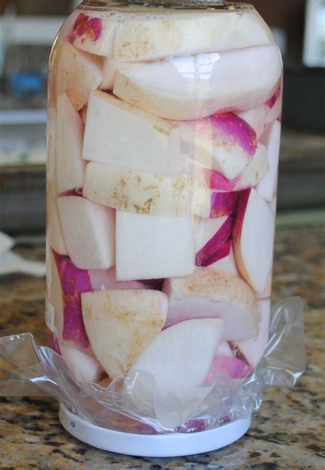 pickled-turnips-evas-lebanese-cooking-blog image