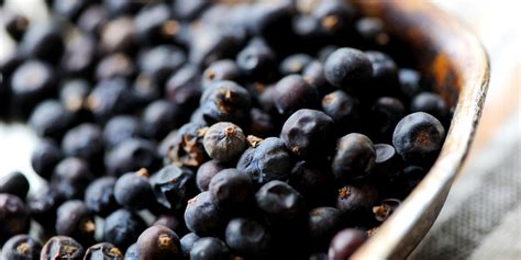 juniper-berry-recipes-mulled-wine-sauces-jams image