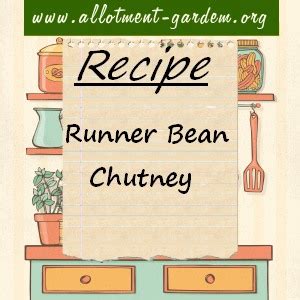 runner-bean-chutney-recipe-allotment-gardenorg image