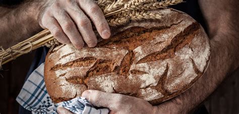 whole-grain-bread-is-a-whole-food-eat-bread-90 image