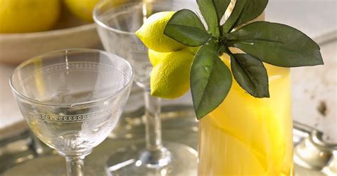 lemon-liqueur-recipe-eat-smarter-usa image