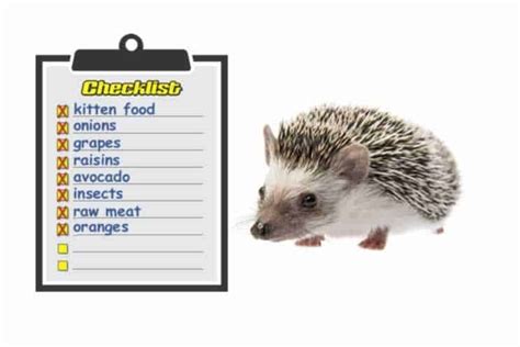 what-cant-hedgehogs-eat-dangerous-and-toxic image