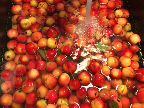crab-apple-and-hot-pepper-jelly-life-hues image
