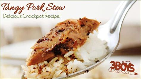tangy-crockpot-pork-stew-recipe-3-boys-and-a-dog image