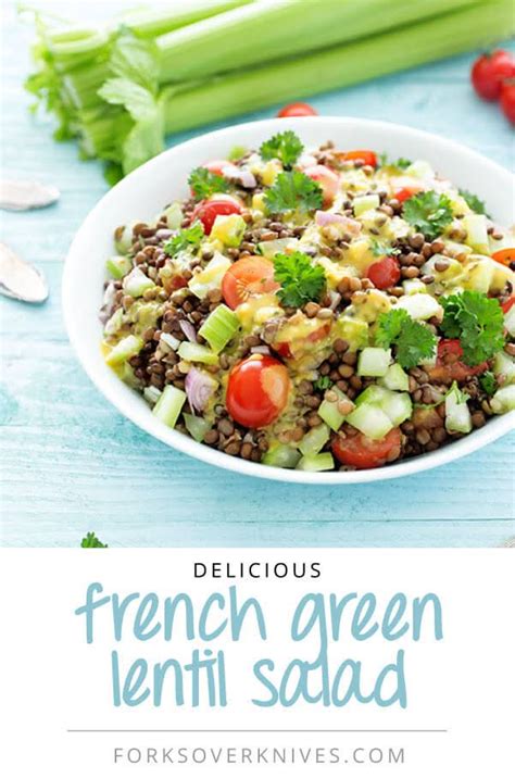 10-best-french-green-lentils-recipes-yummly image
